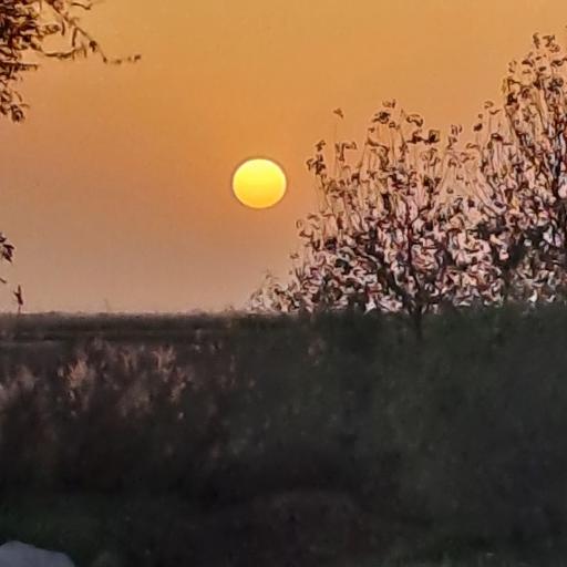 عکس ملاثانی