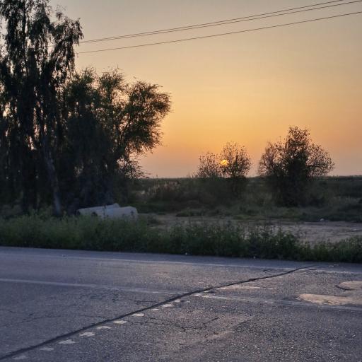 عکس ملاثانی