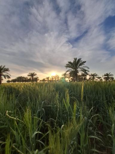 عکس ملاثانی