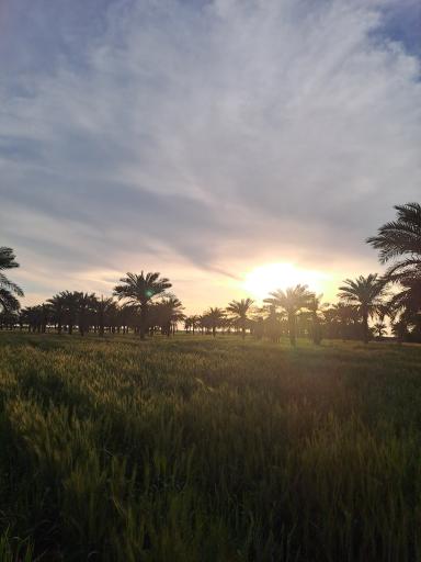 عکس ملاثانی