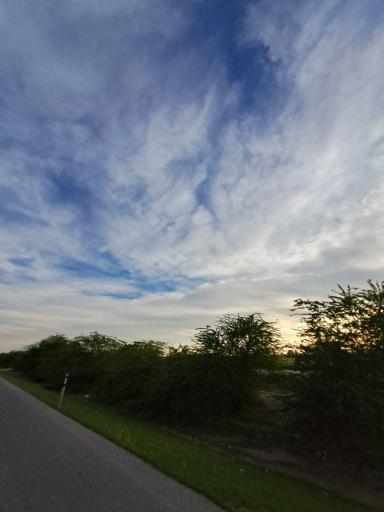 عکس ملاثانی