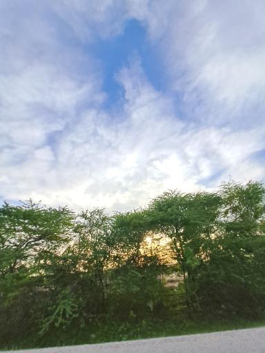 عکس ملاثانی