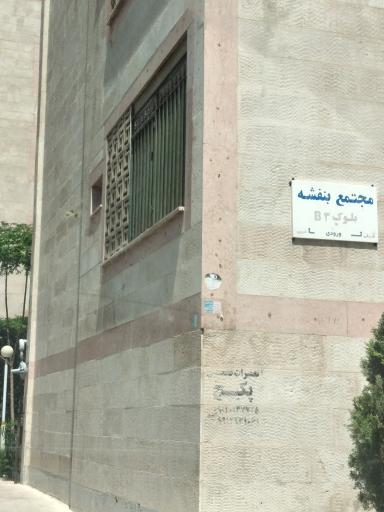 عکس بنفشه B3