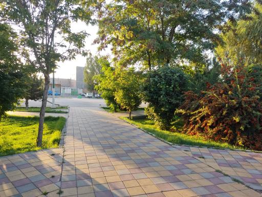 عکس بوستان ارس