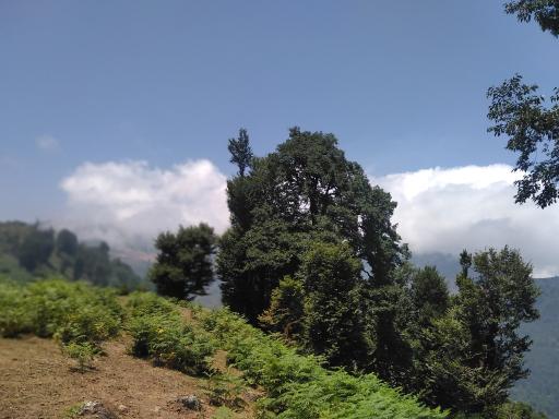 عکس ییلاق چره پشت