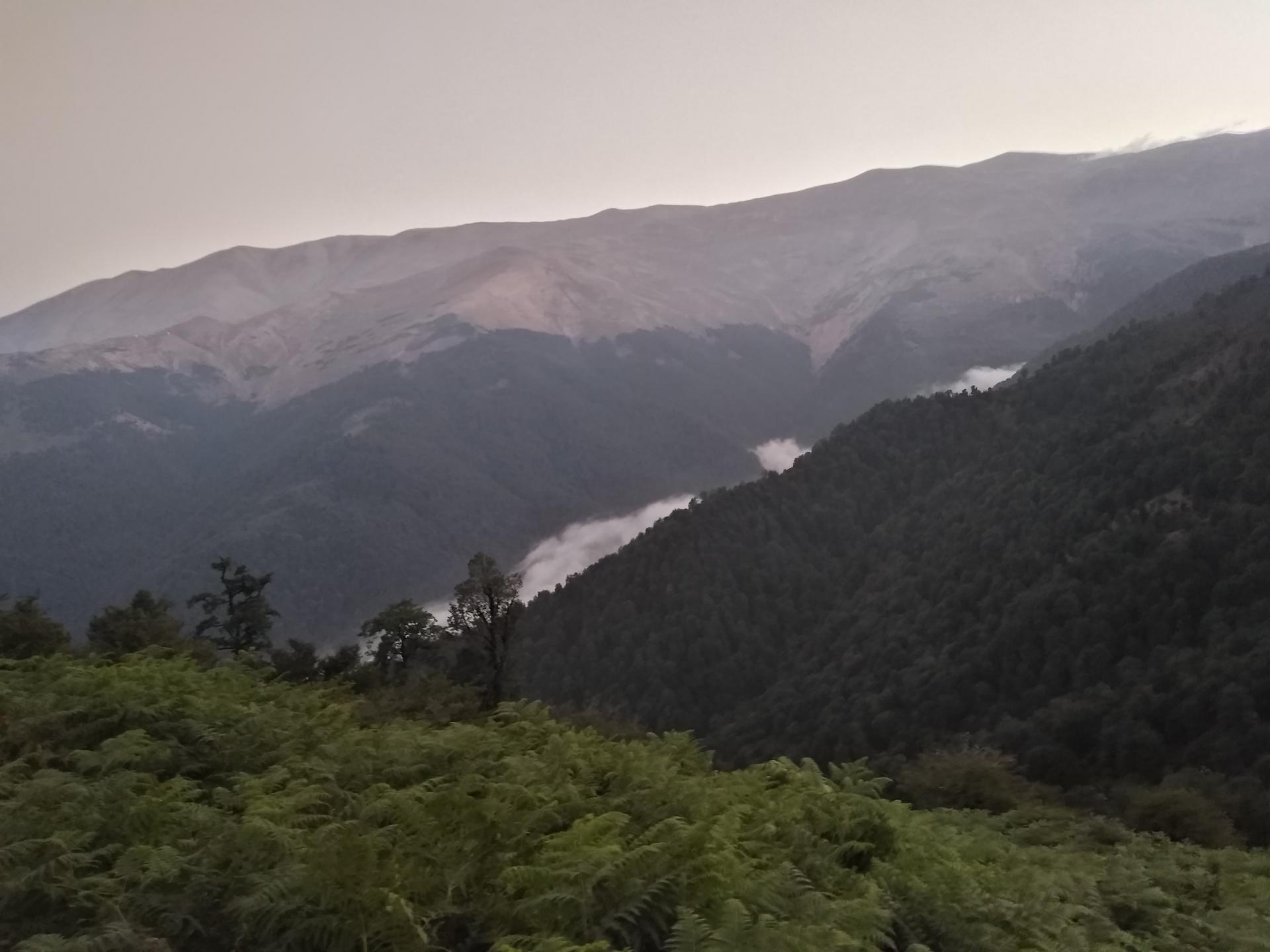 عکس ییلاق چره پشت