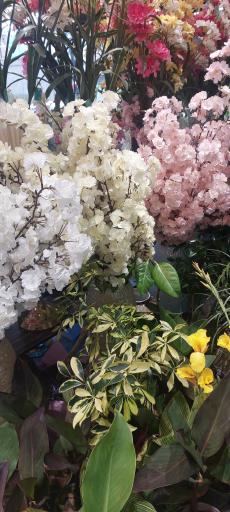 عکس گل فروشی قلیپور