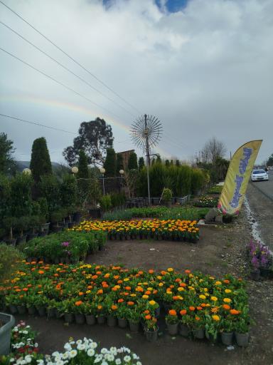 عکس گلخانه کاسپین رهنما