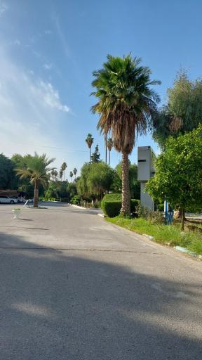 عکس ملاثانی
