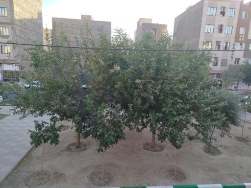 عکس بوستان نامور