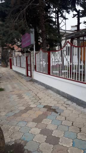 عکس سازمان انتقال خون تالش