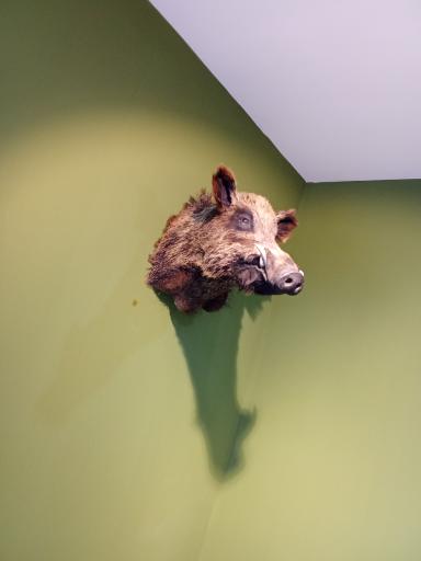 عکس کاخ موزه مرمر (پردیس موزه ای رامسر)