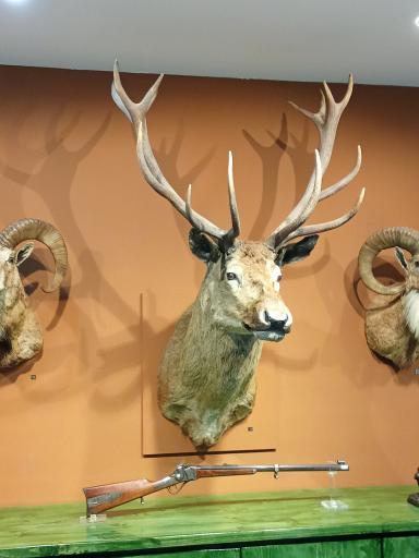 عکس کاخ موزه مرمر (پردیس موزه ای رامسر)