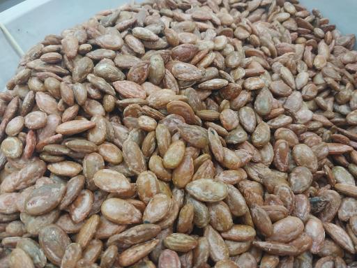 عکس تخمه داغ گندم