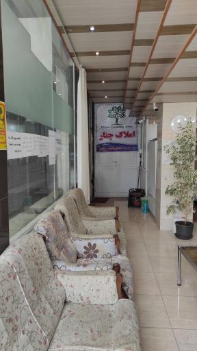 عکس املاک چنار