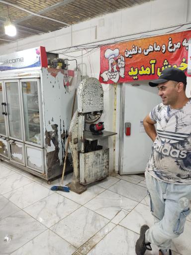 عکس فروشگاه مرغ و ماهی دلفین 