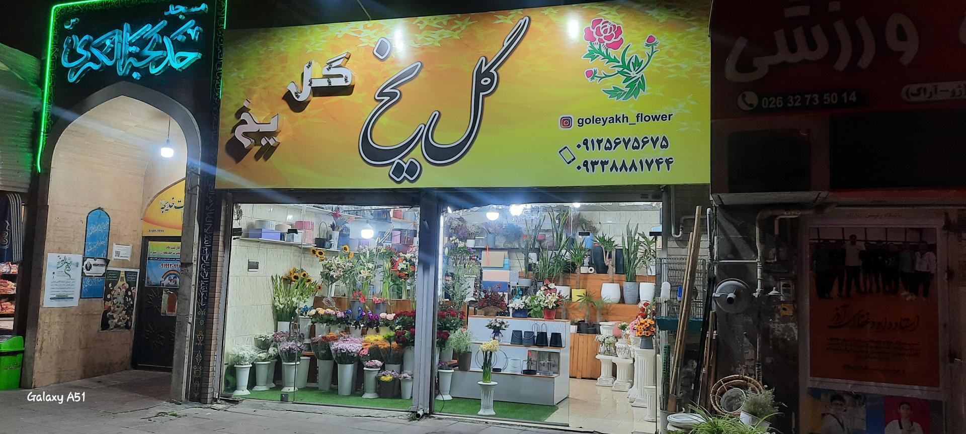 عکس گل فروشی گل یخ