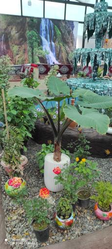 عکس جگرکی ام خسرو