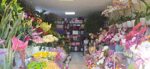 عکس گل فروشی پیونی