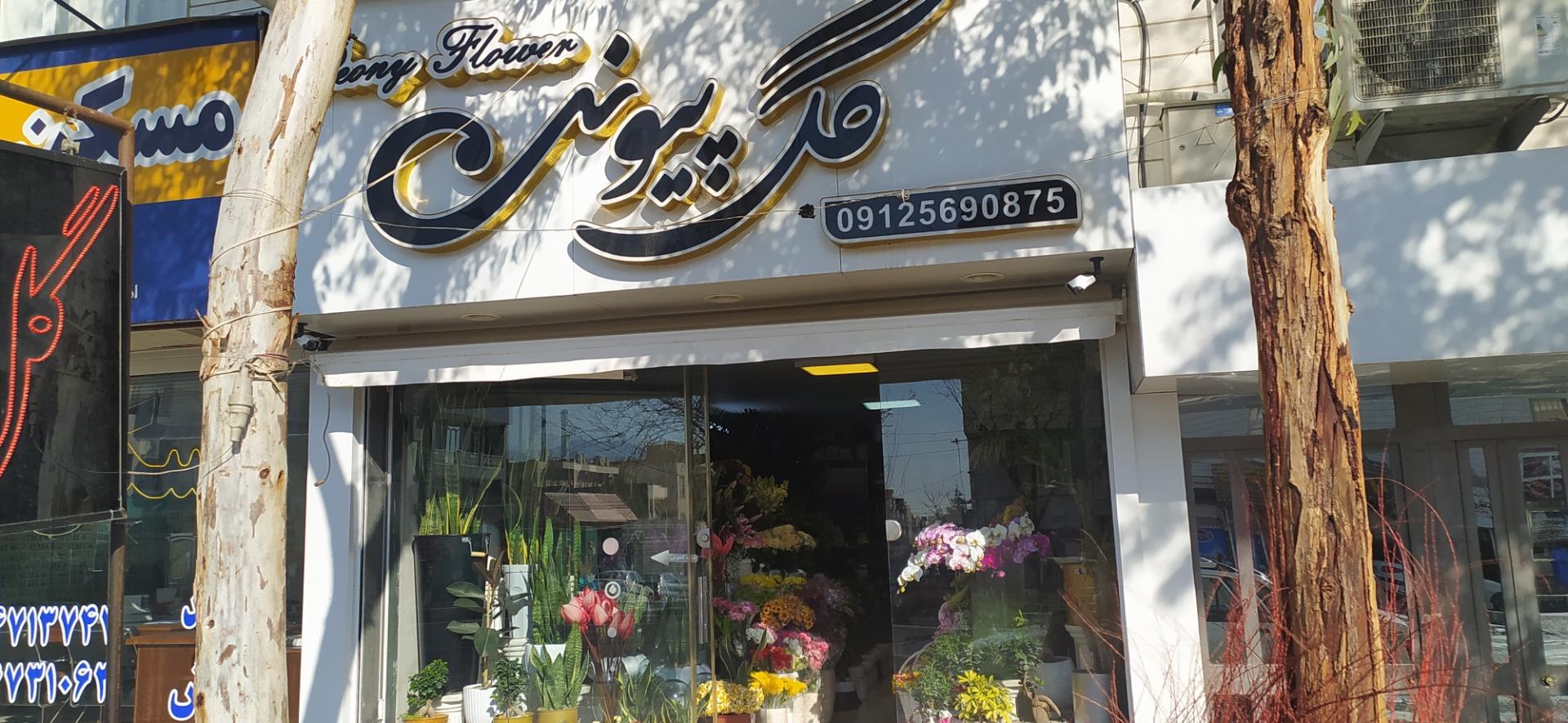 عکس گل فروشی پیونی