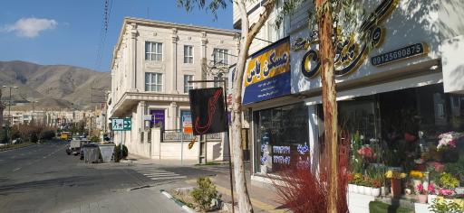 عکس گل فروشی پیونی