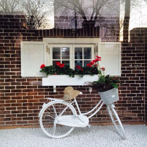 عکس دوچرخه الیت