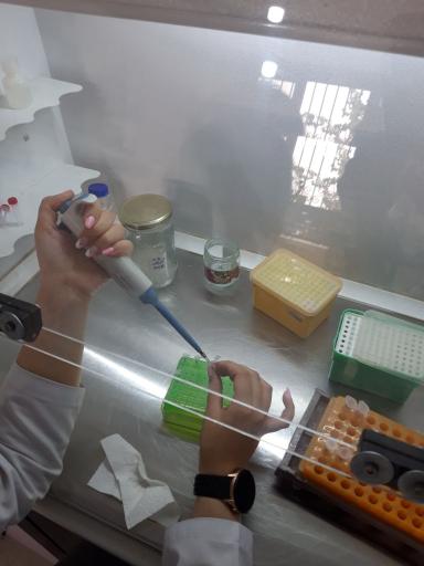 عکس پویا ژن آزما