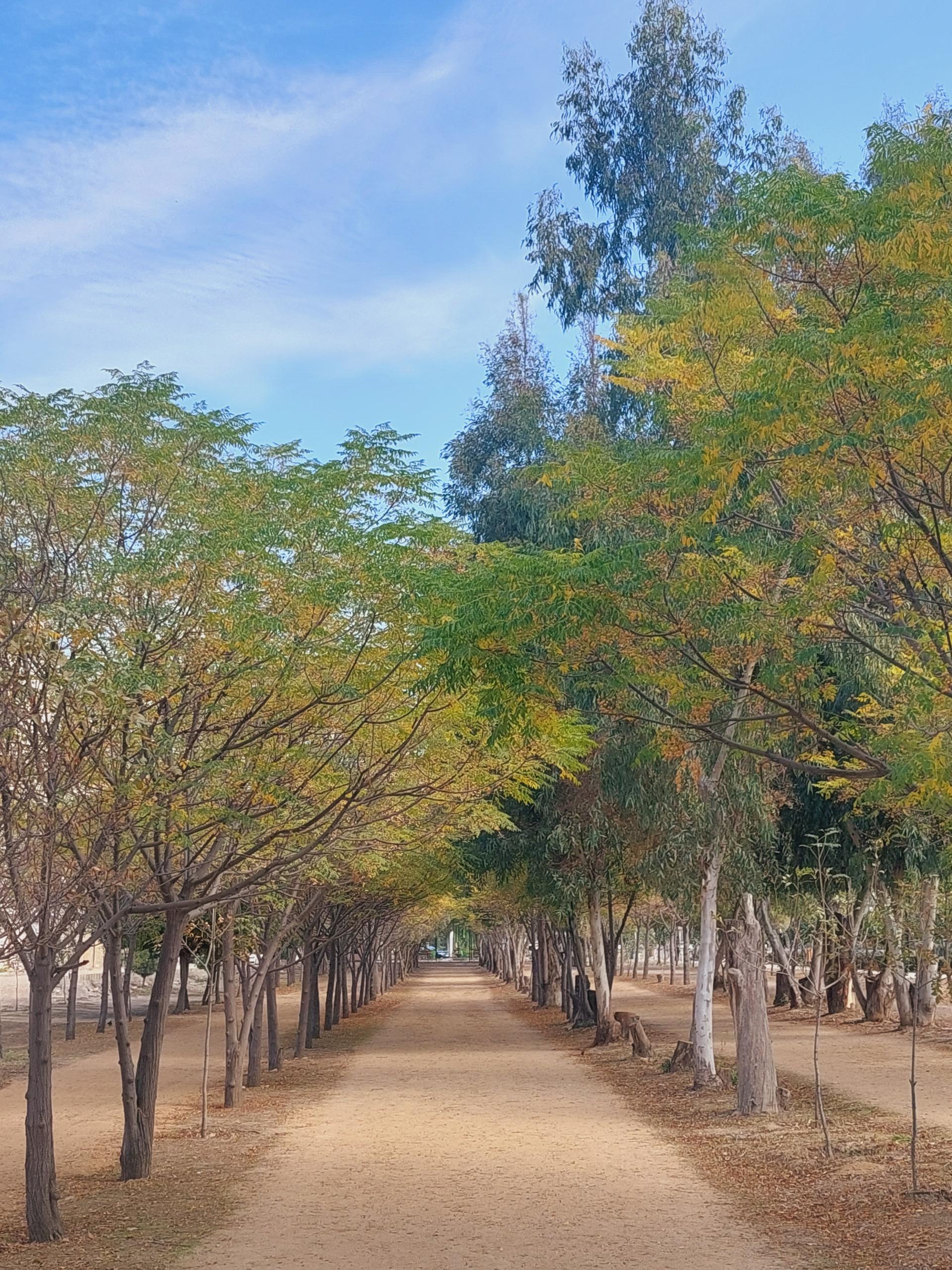 عکس جاده سلامت