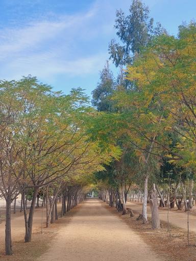 عکس جاده سلامت