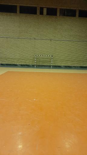 عکس سالن تختی نیر