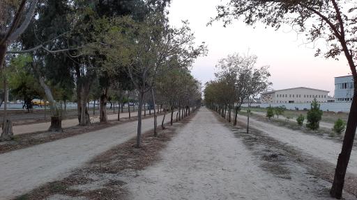 عکس جاده سلامت