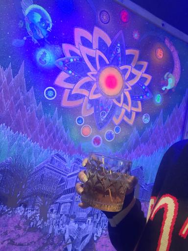 عکس کافه یوگا