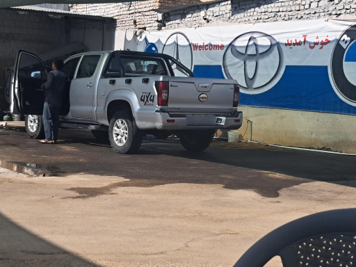 عکس کارواش دلفین