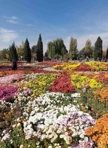 باغ گیاه شناسی ملی ایران