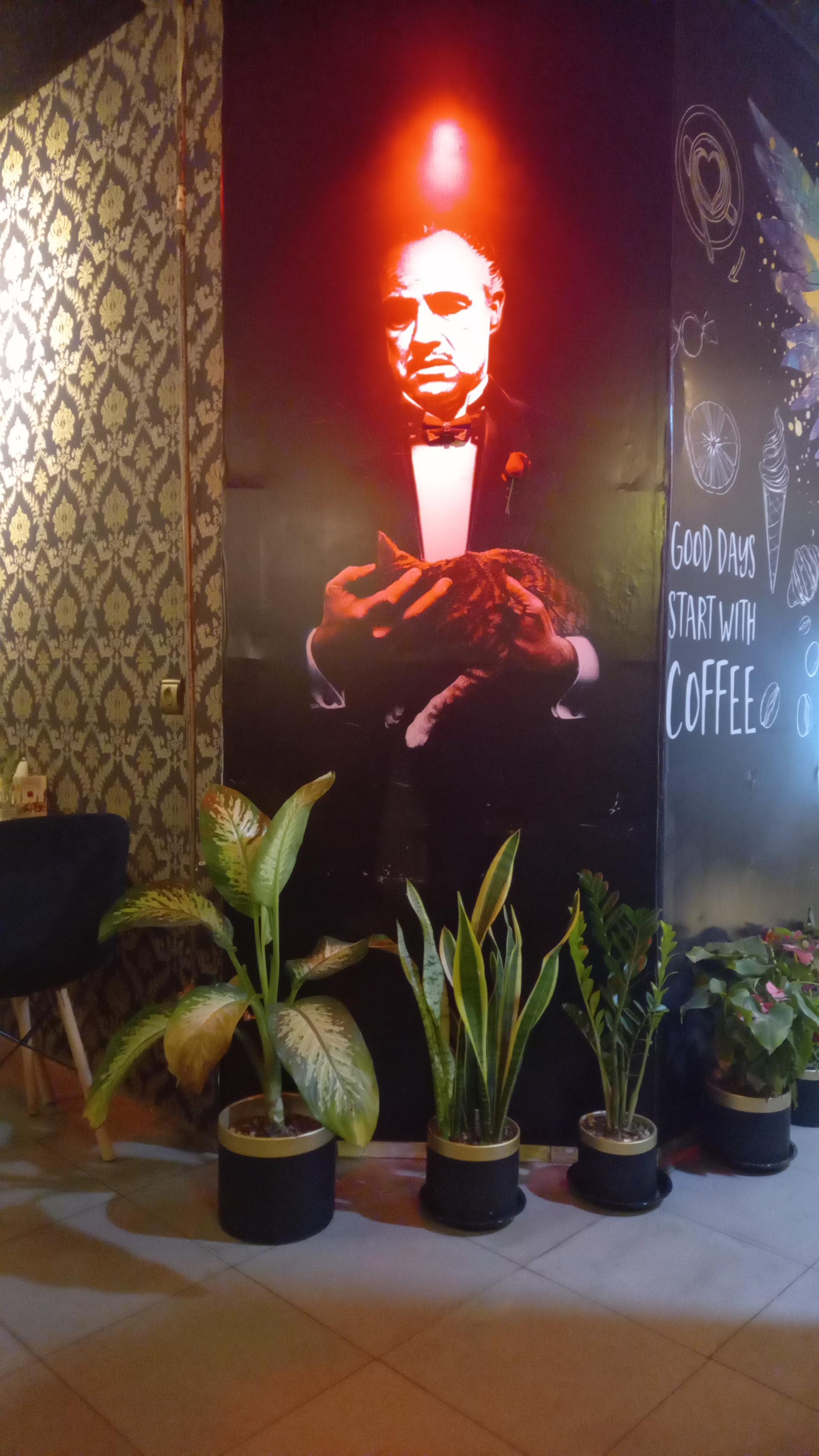 عکس کافه کارن