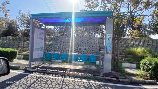 عکس کنگان یکم