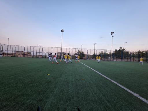 عکس زمین چمن فدک