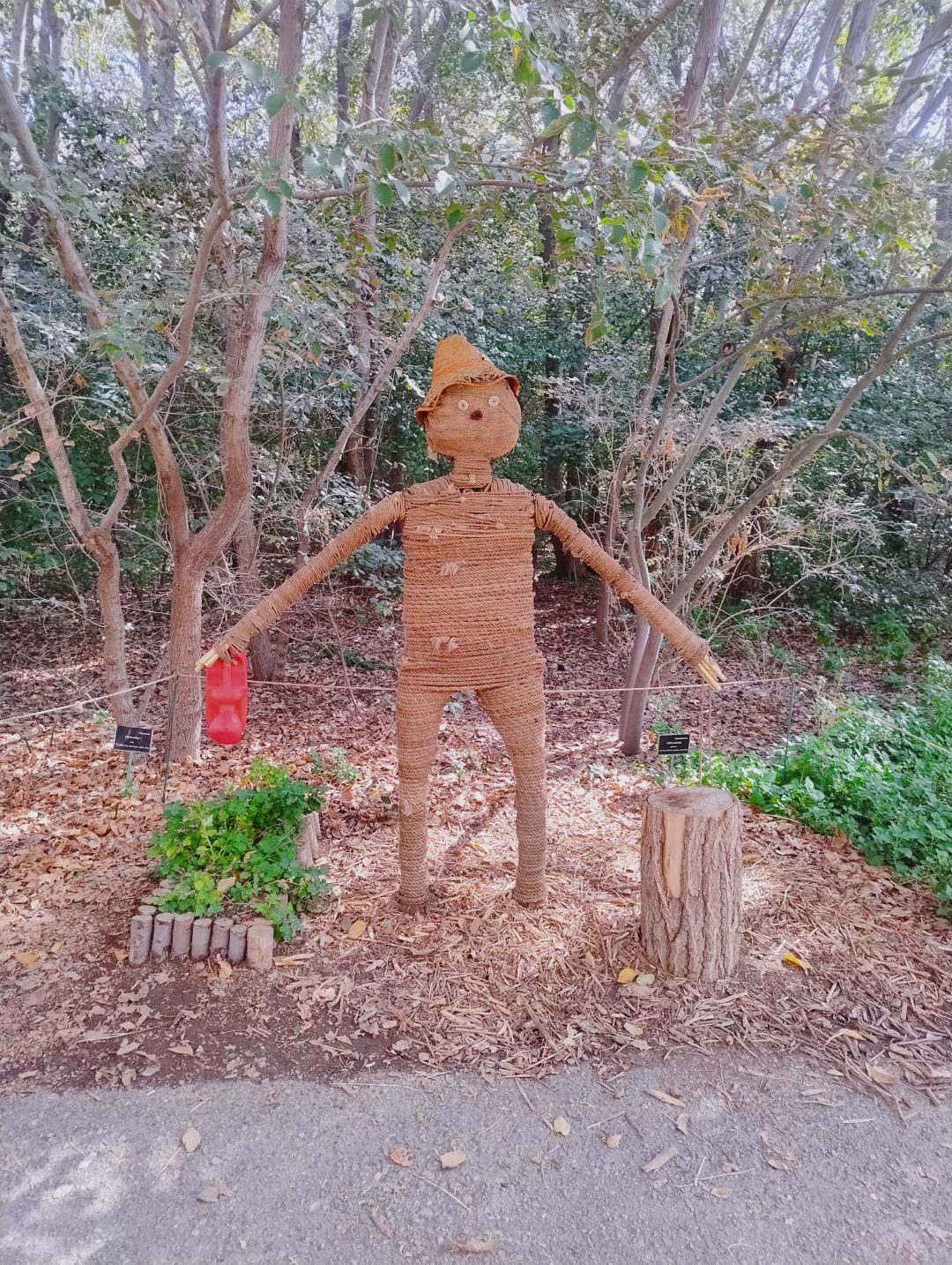 عکس باغ گیاه شناسی ملی ایران