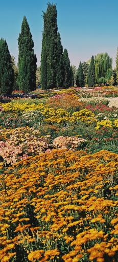 عکس باغ گیاه شناسی ملی ایران