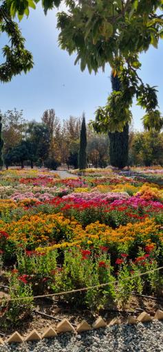 عکس باغ گیاه شناسی ملی ایران