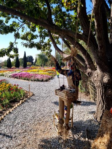 عکس باغ گیاه شناسی ملی ایران