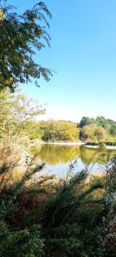 عکس باغ گیاه شناسی ملی ایران