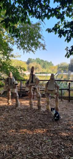 عکس باغ گیاه شناسی ملی ایران