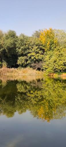 عکس باغ گیاه شناسی ملی ایران