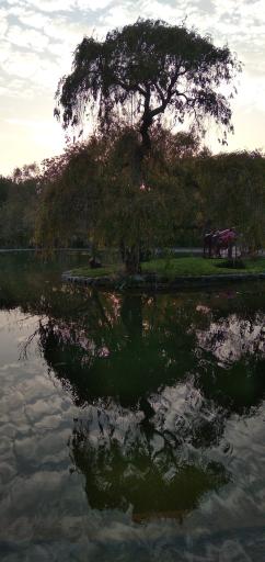 عکس باغ گیاه شناسی ملی ایران