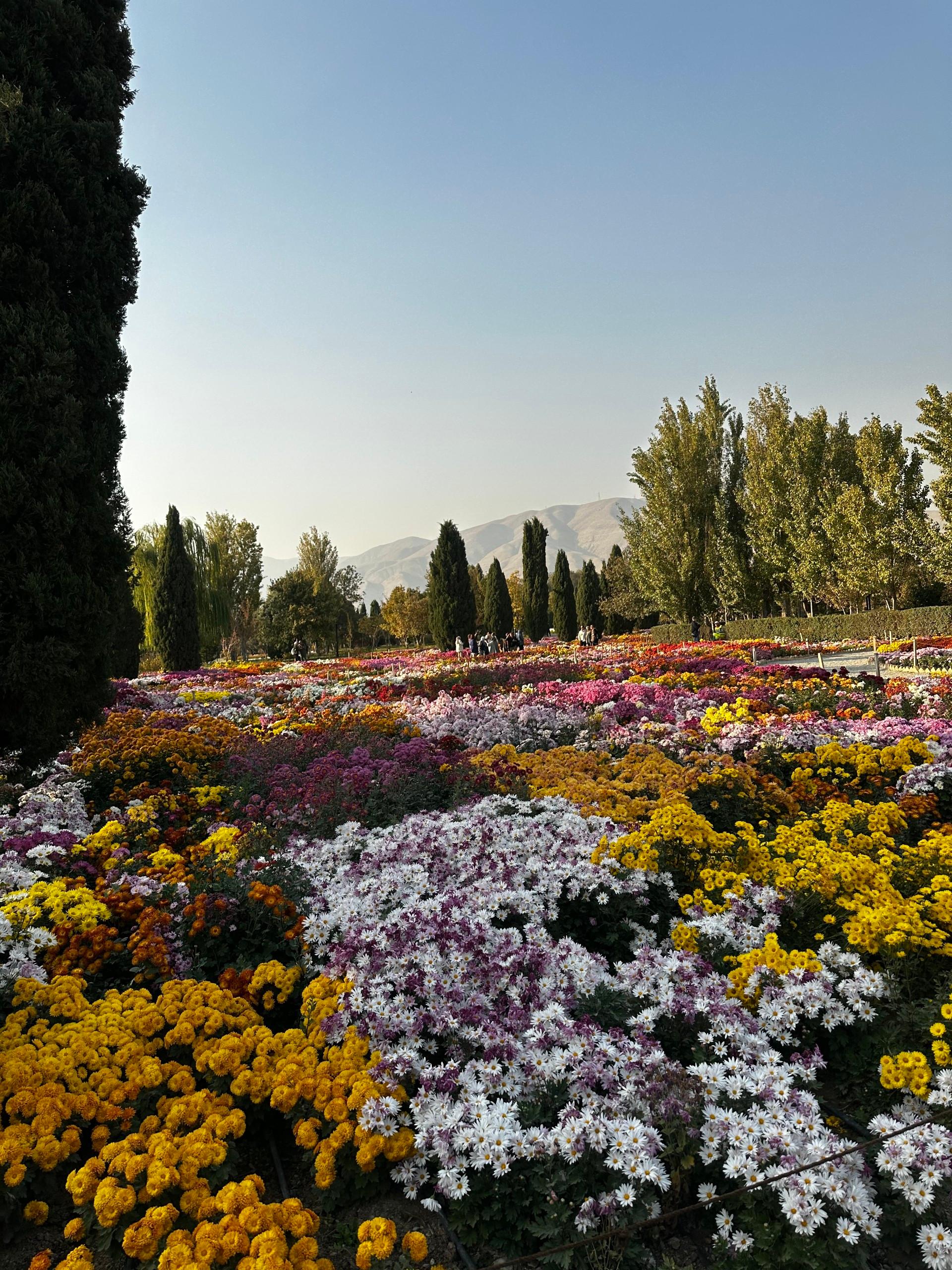 عکس باغ گیاه شناسی ملی ایران