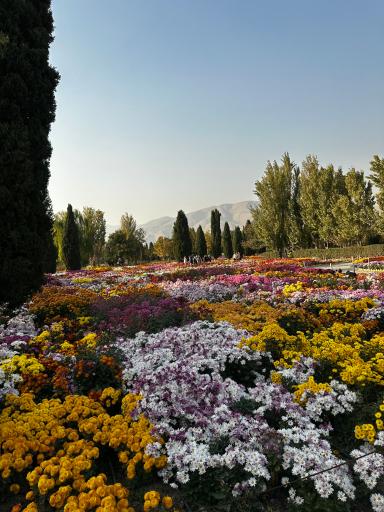 عکس باغ گیاه شناسی ملی ایران