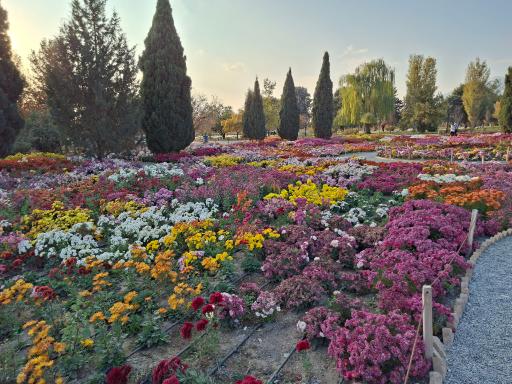 عکس باغ گیاه شناسی ملی ایران