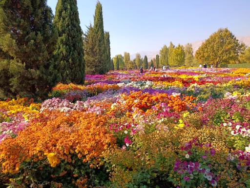 عکس باغ گیاه شناسی ملی ایران