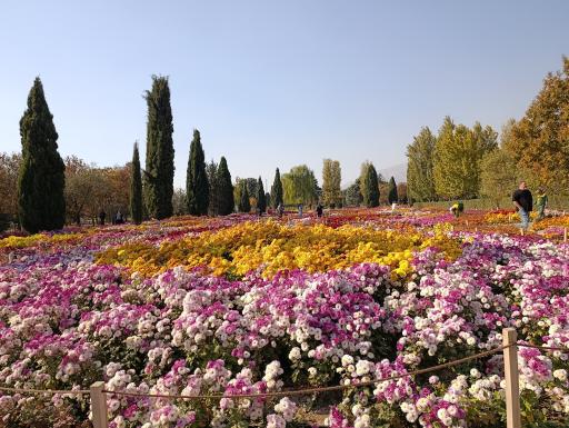 عکس باغ گیاه شناسی ملی ایران
